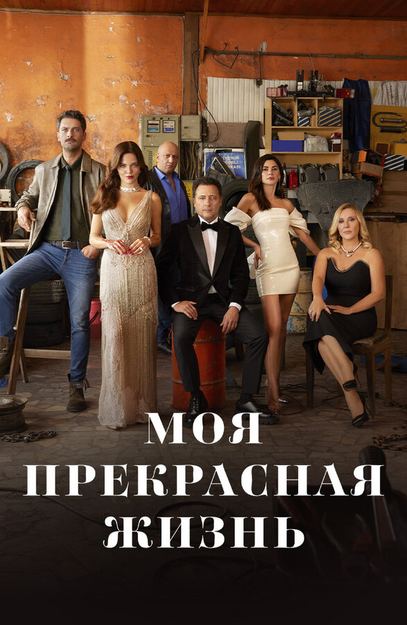 Моя прекрасная жизнь постер - смотреть онлайн